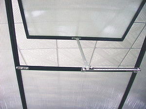 Непокрытая рамочная отделка 6ft X 8ft Большая оранжерея для садоводства на открытом воздухе